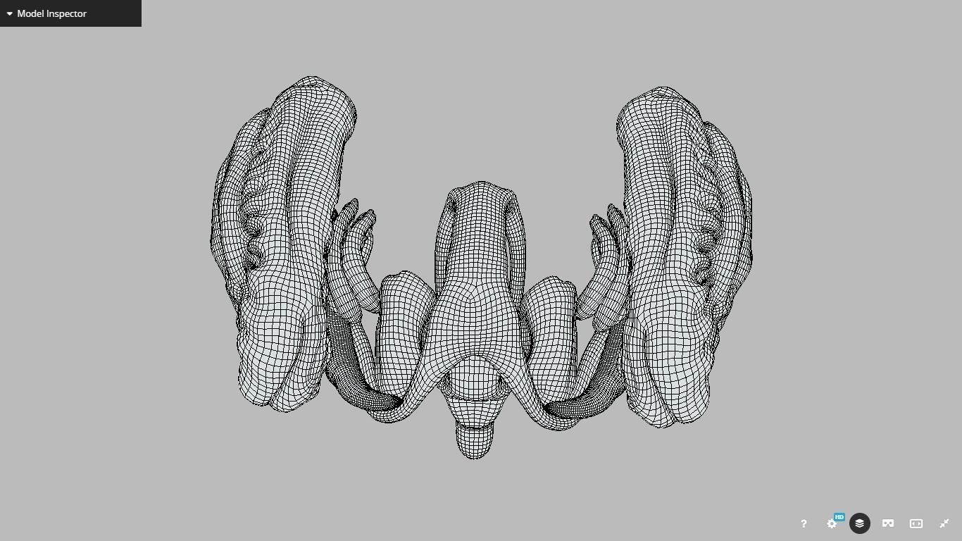 Human Brain Nuclei Low-poly 3D model_21