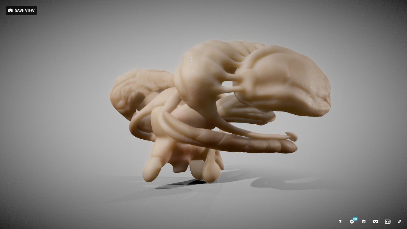 Human Brain Nuclei Low-poly 3D model_2