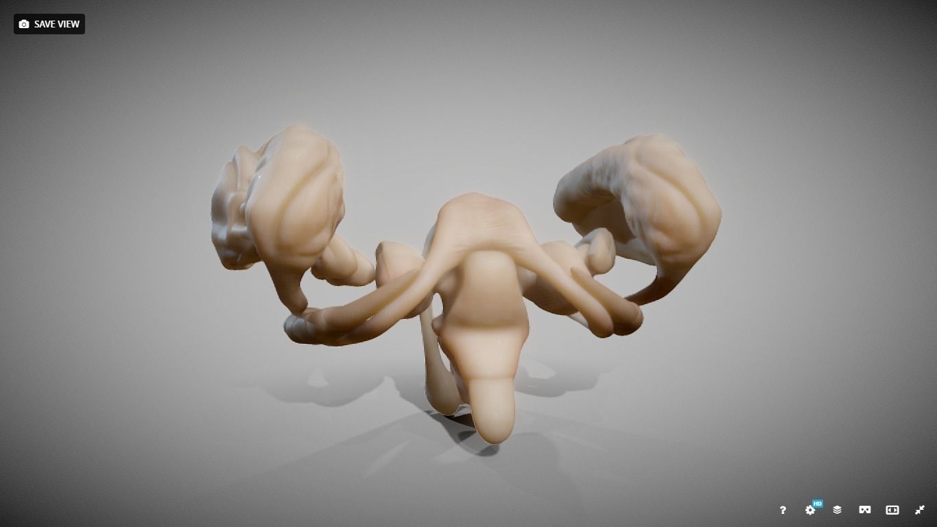 Human Brain Nuclei Low-poly 3D model_15