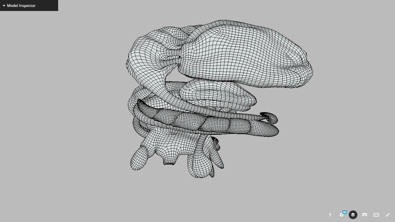 Human Brain Nuclei Low-poly 3D model_20