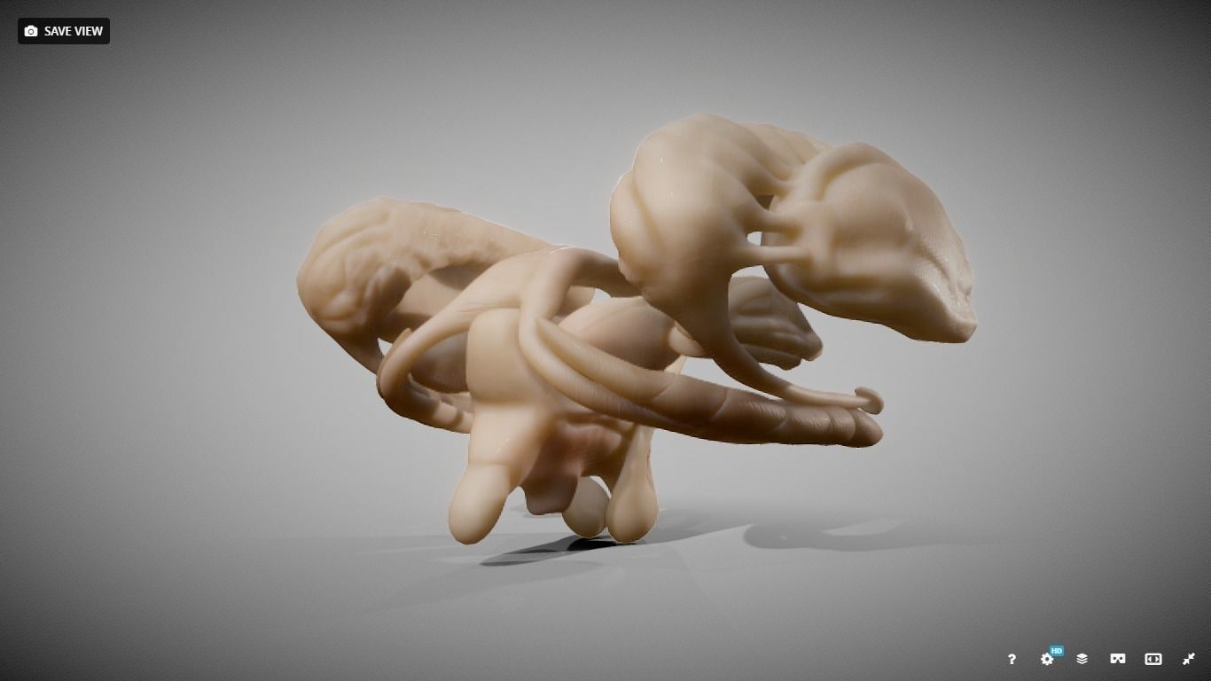 Human Brain Nuclei Low-poly 3D model_1