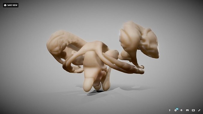 Human Brain Nuclei Low-poly 3D model