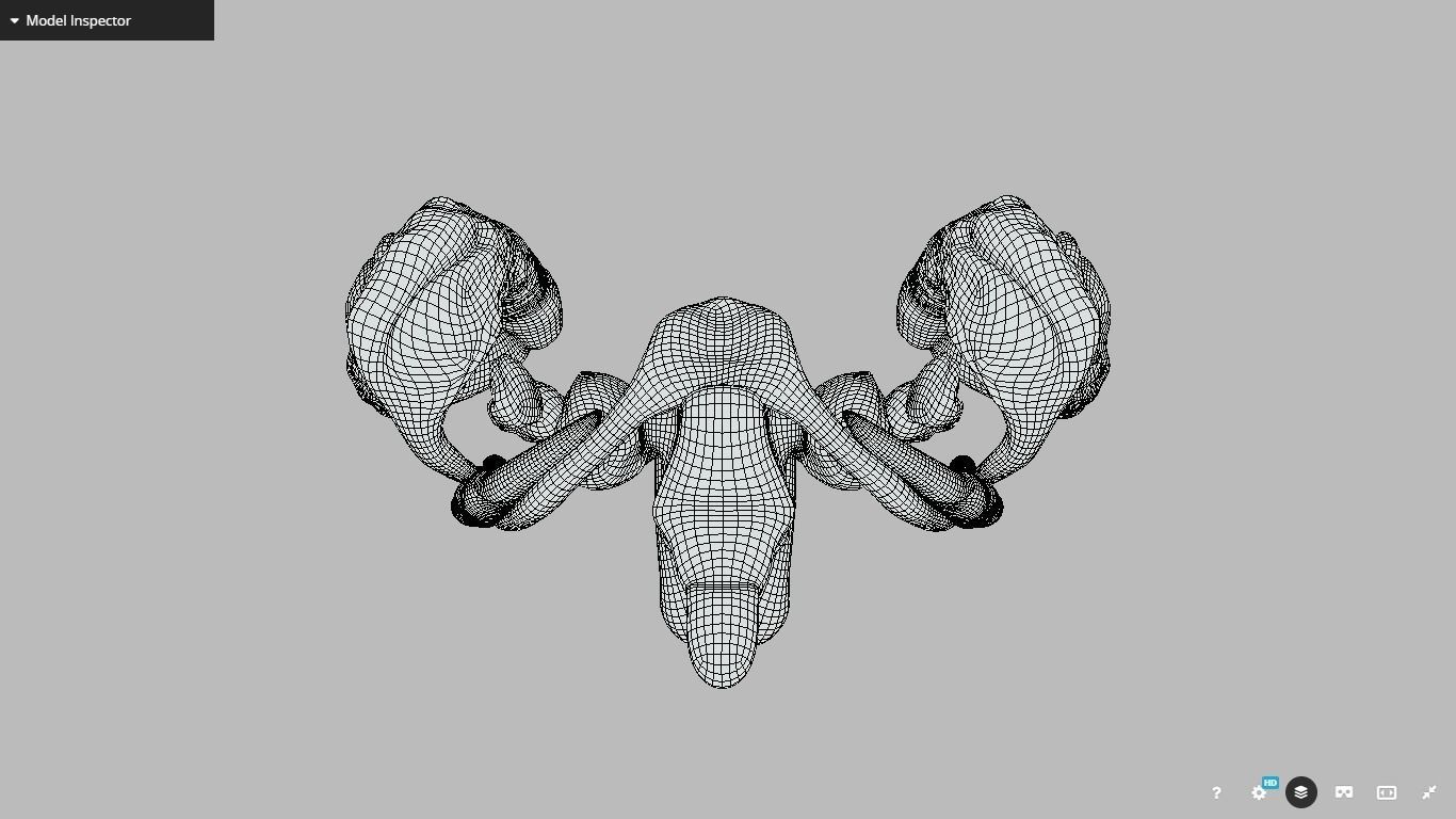 Human Brain Nuclei Low-poly 3D model_19