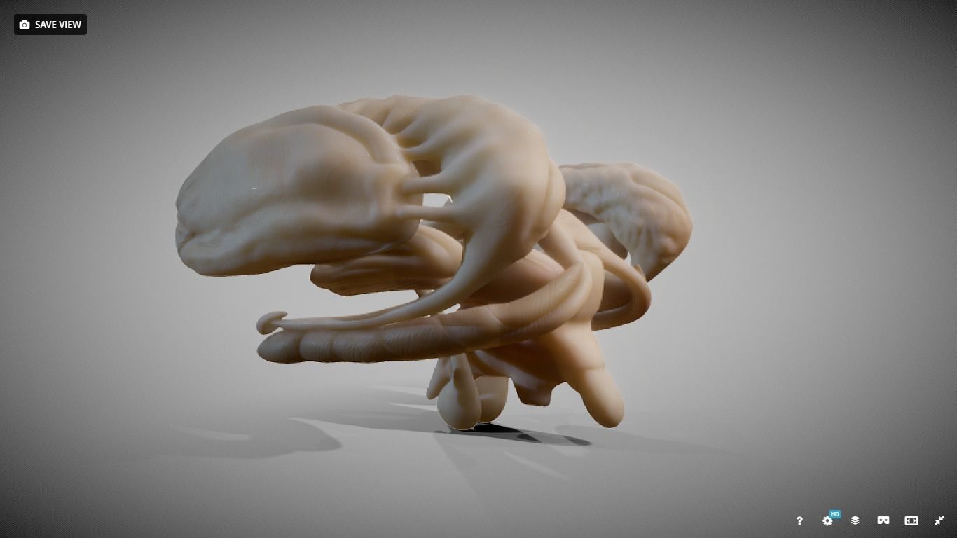 Human Brain Nuclei Low-poly 3D model_13