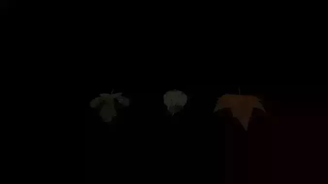 LOW POLY LEAF leaves
