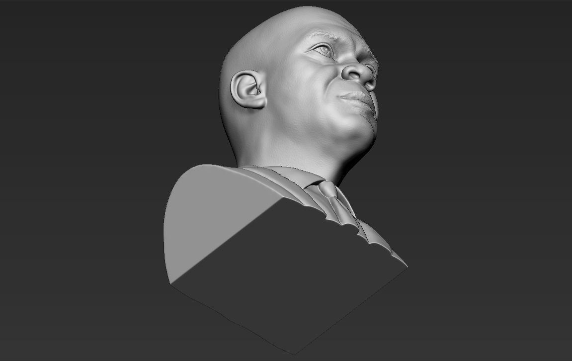 Samuel L Jackson bust ready for full color 3D printing 3D print model_43