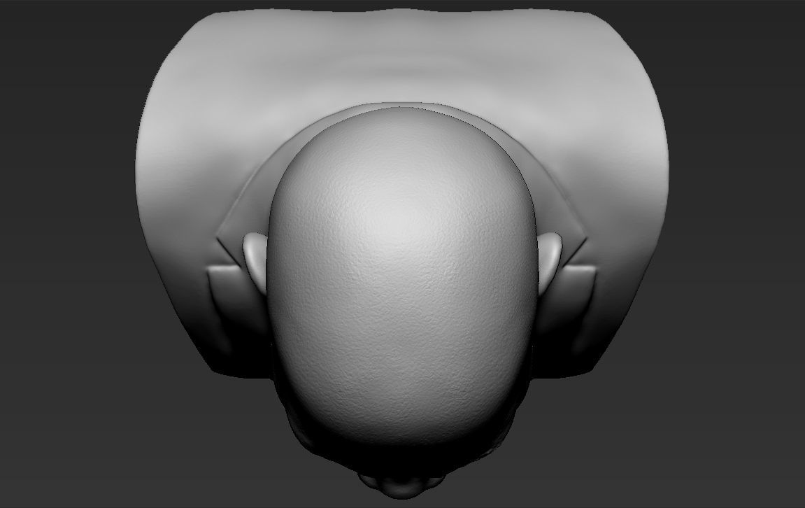 Samuel L Jackson bust ready for full color 3D printing 3D print model_37