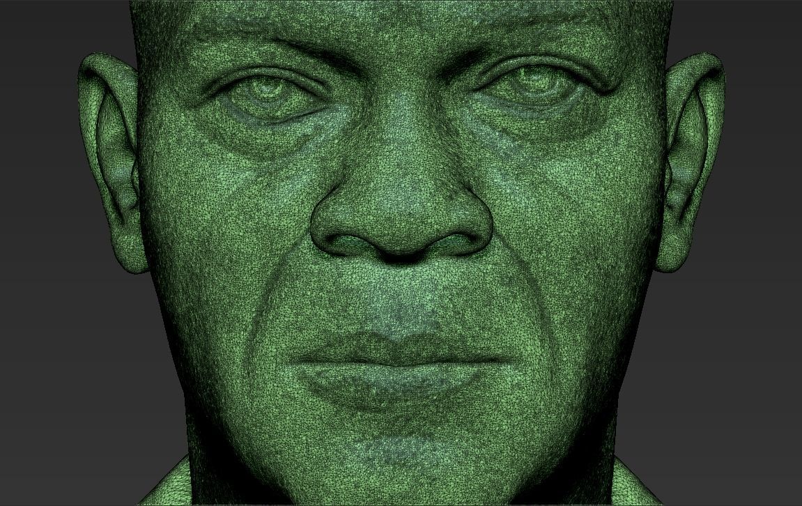 Samuel L Jackson bust ready for full color 3D printing 3D print model_48