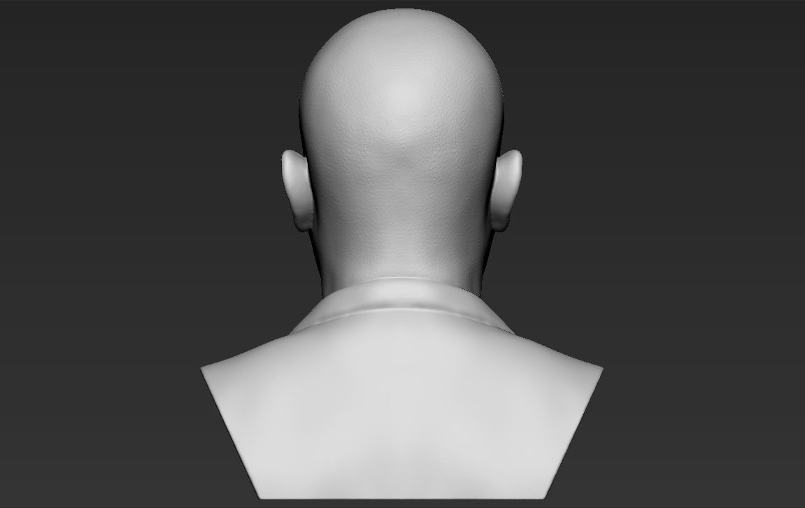 Samuel L Jackson bust ready for full color 3D printing 3D print model_28