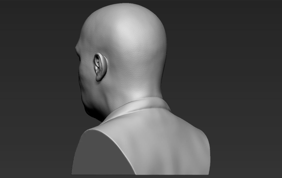 Samuel L Jackson bust ready for full color 3D printing 3D print model_27