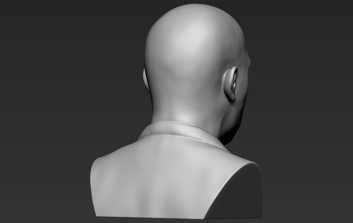 Samuel L Jackson bust ready for full color 3D printing 3D print model_29