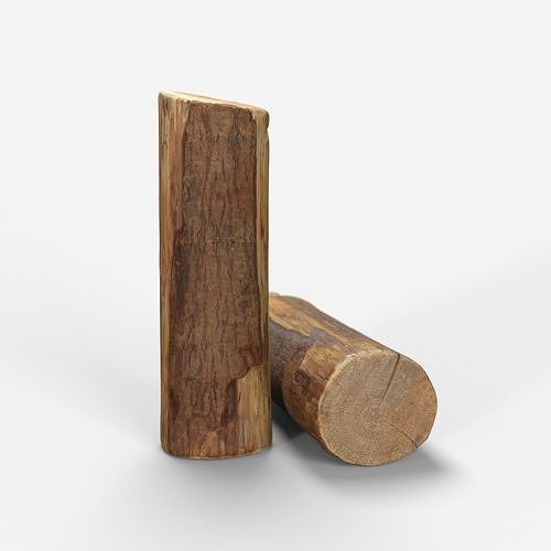 Wood Log model 3D scan Low-poly 3D model