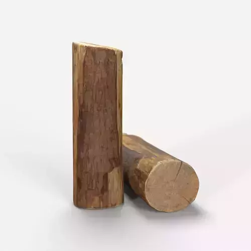 Wood Log model 3D scan Low-poly 3D model