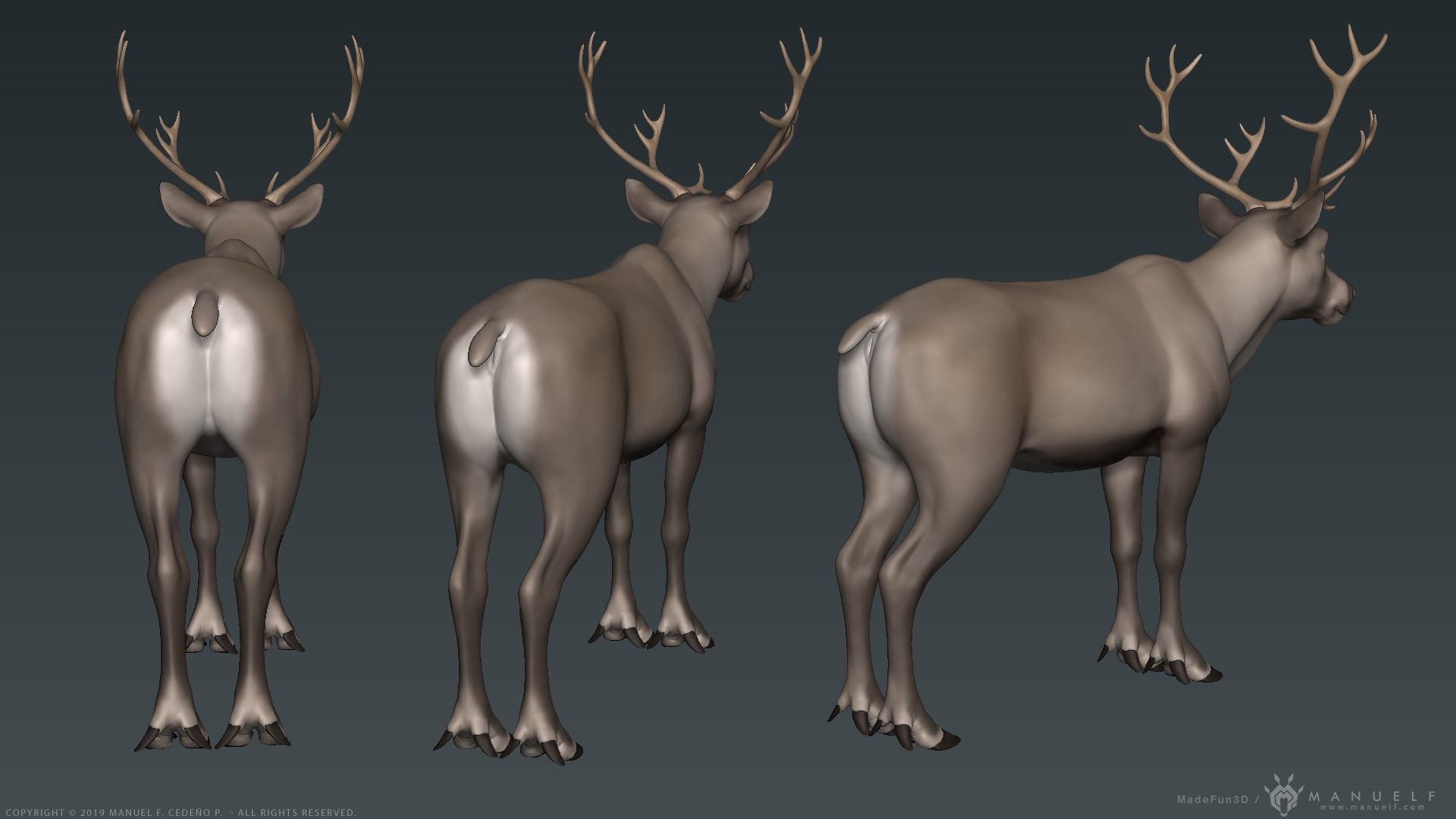 Stylized Cartoon Reindeer 3D model_9