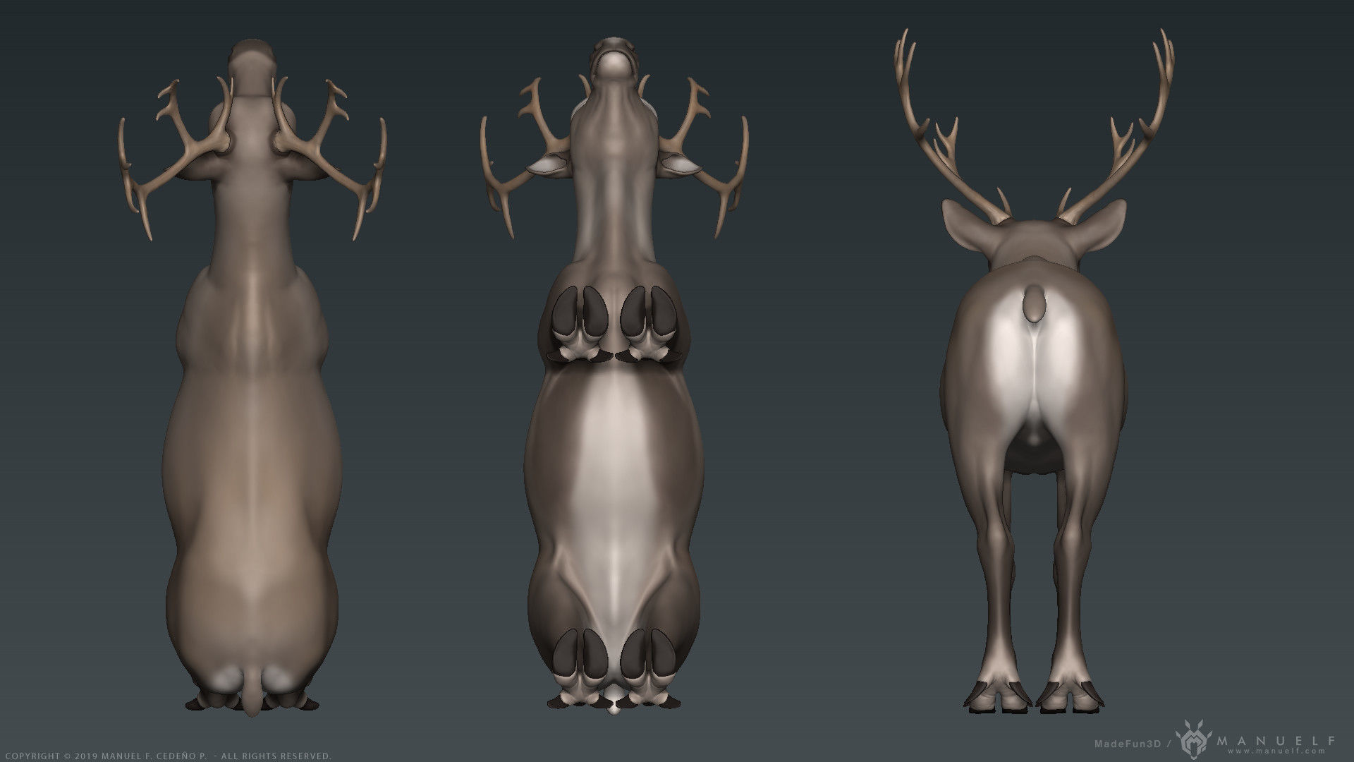 Stylized Cartoon Reindeer 3D model_4