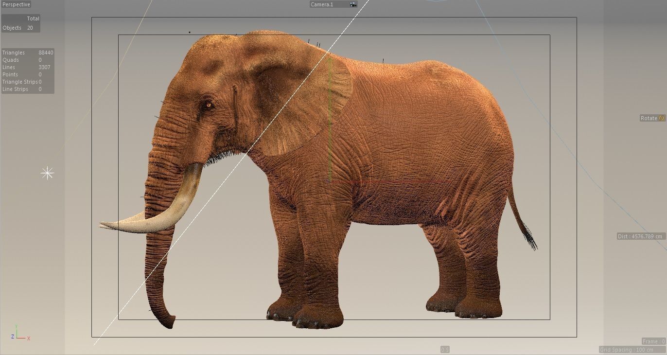 Elephant with tusks 3D model_23