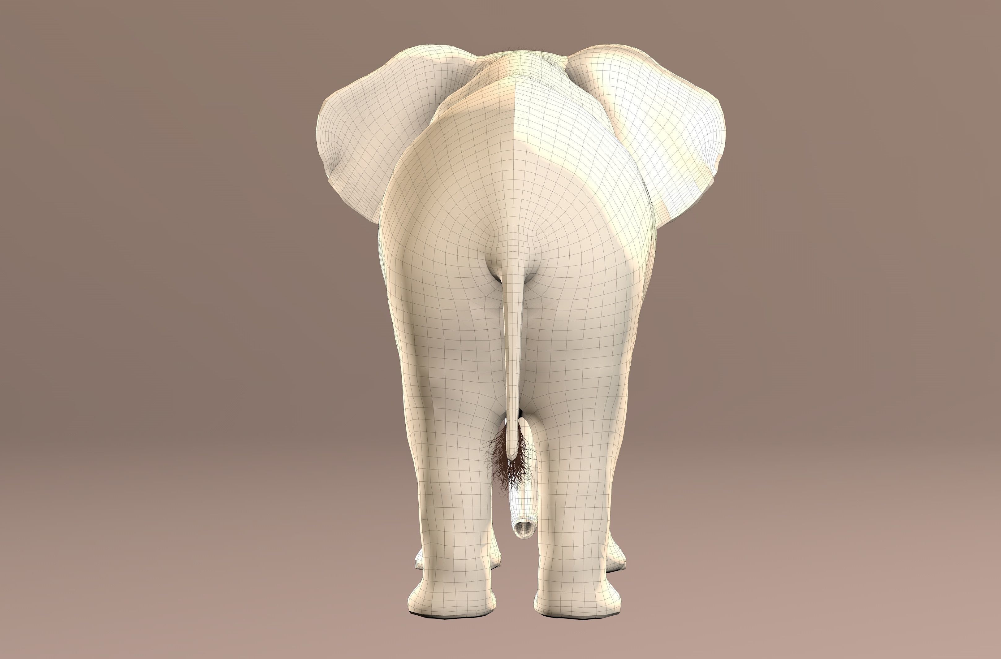 Elephant with tusks 3D model_13