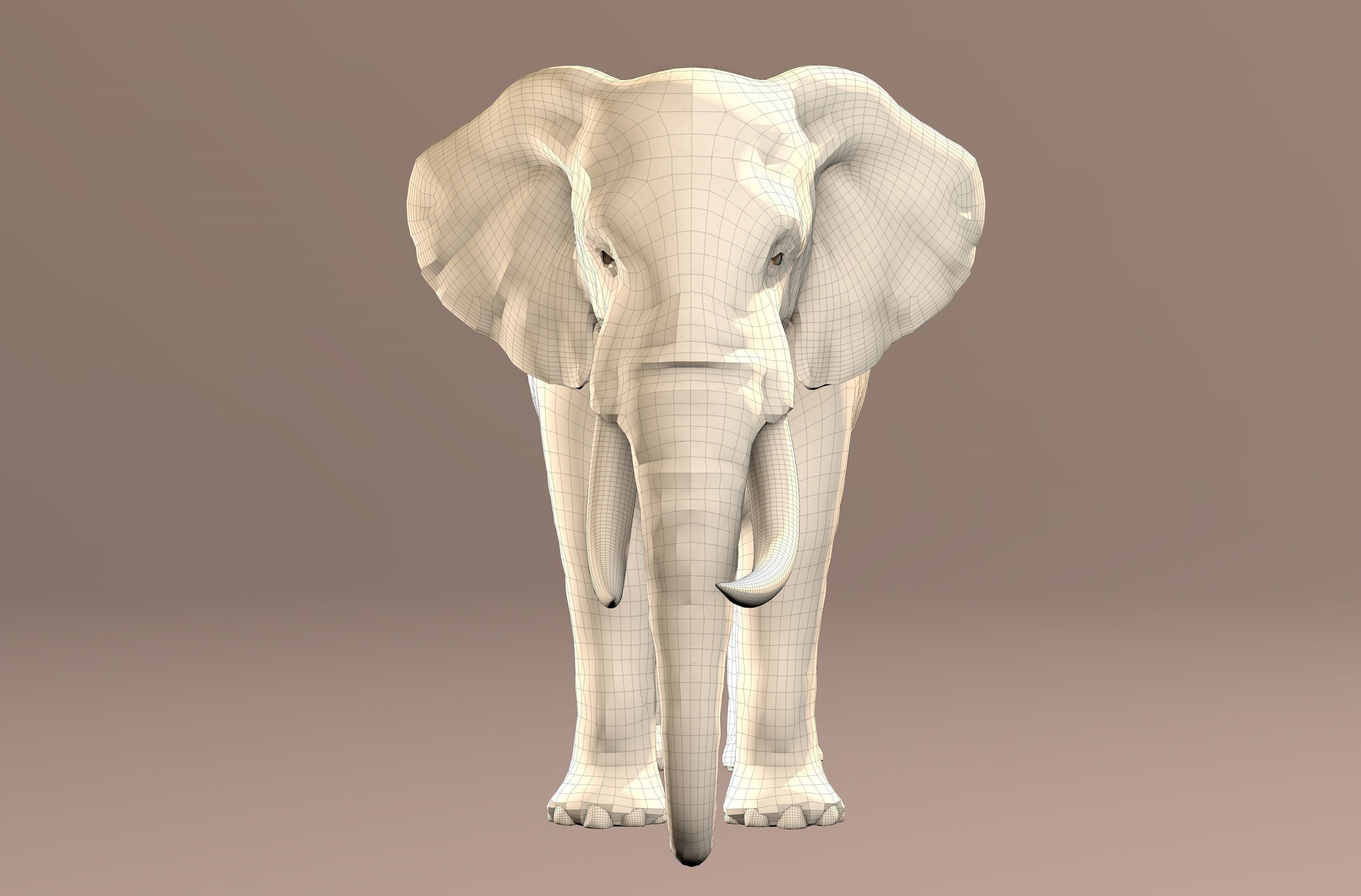 Elephant with tusks 3D model_22