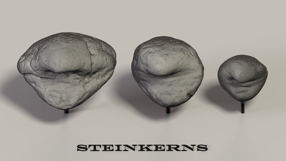 Museum Items 3D model_14