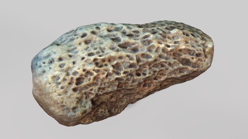 Museum Items 3D model_1