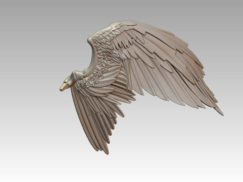 Hawkgirl 3D print model_15