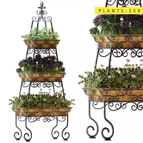 plants 258
