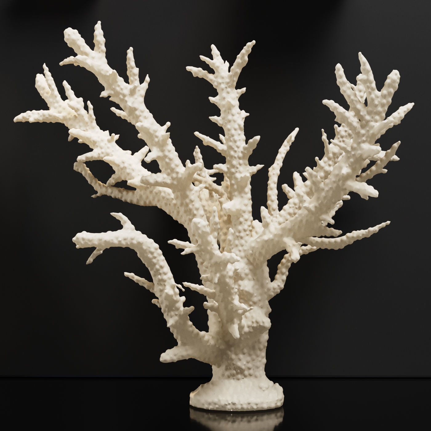 Decor Set 43 3D model_2