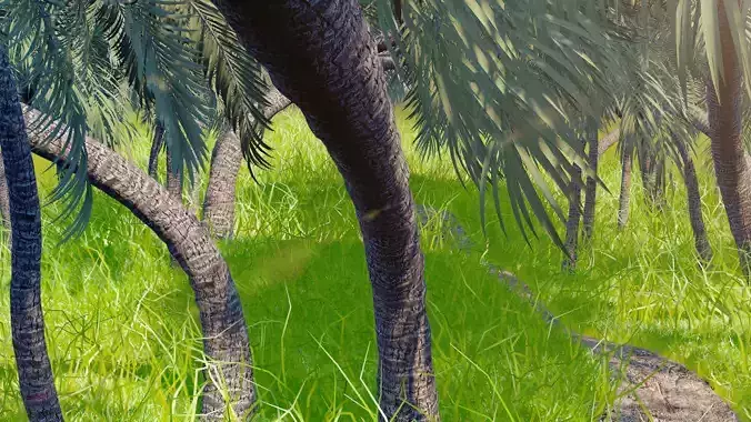 Coconut Plant Location Design Cinema4D 3D model