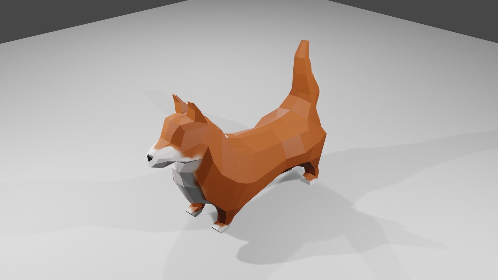 Korgy polygonal dog Low-poly 3D model_6
