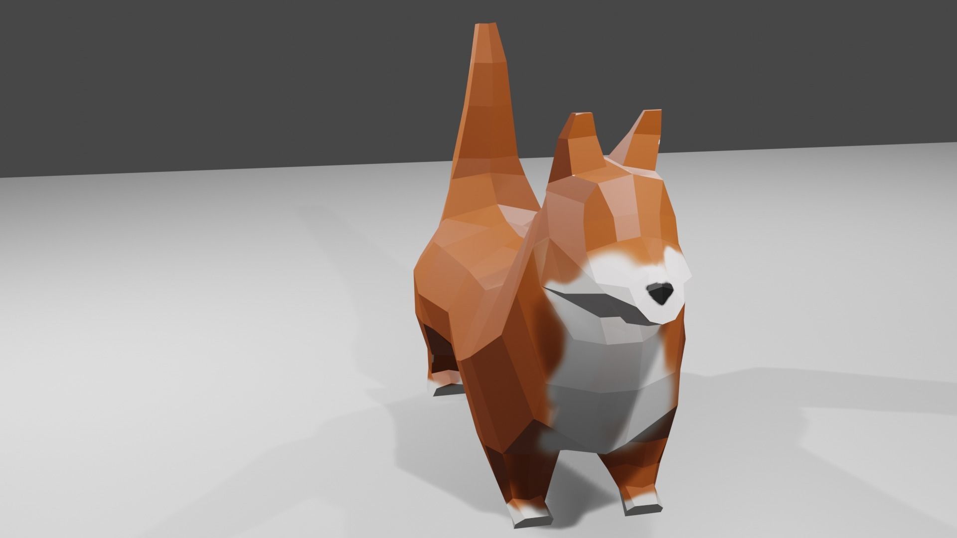 Korgy polygonal dog Low-poly 3D model_9