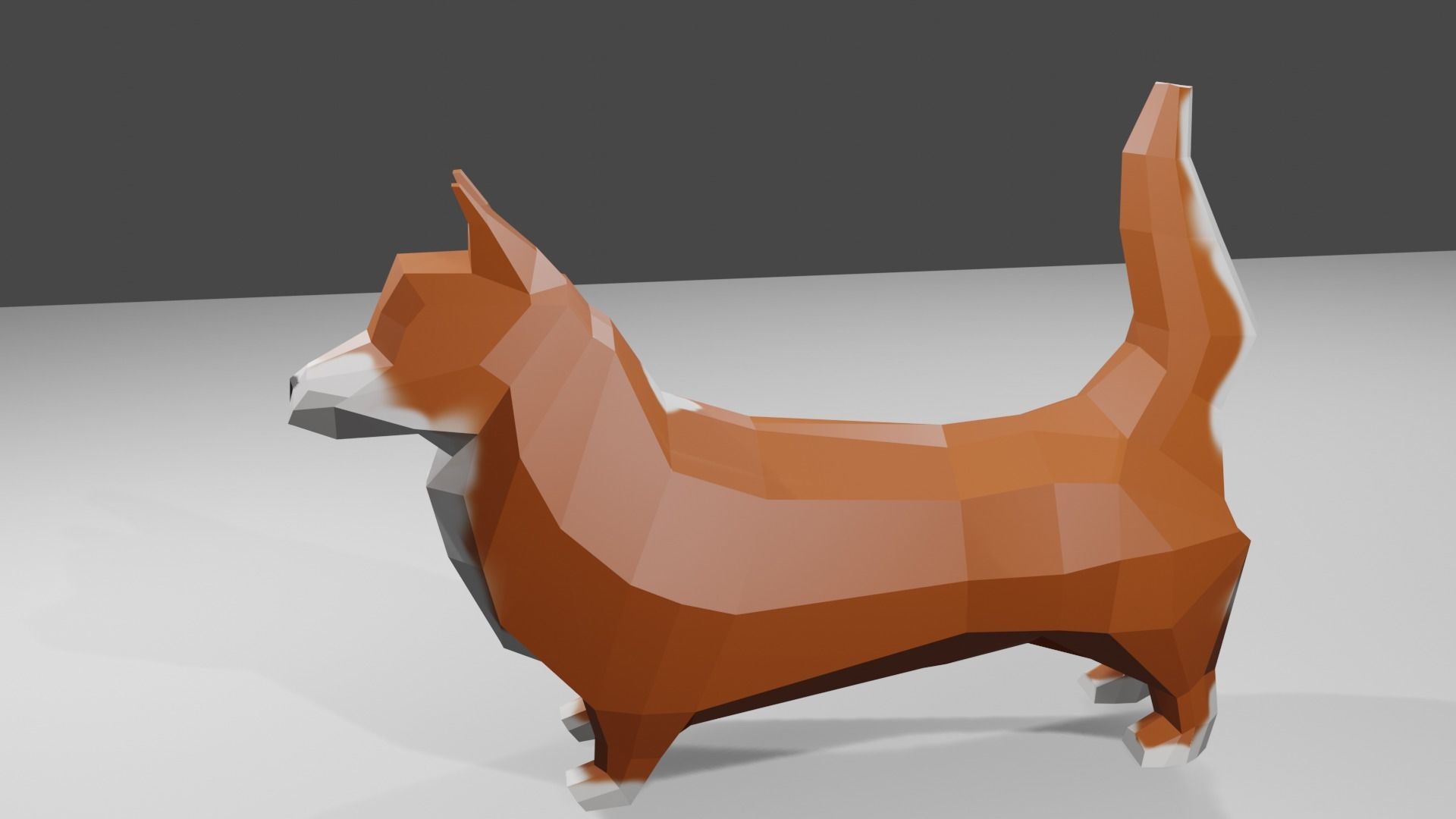 Korgy polygonal dog Low-poly 3D model_7