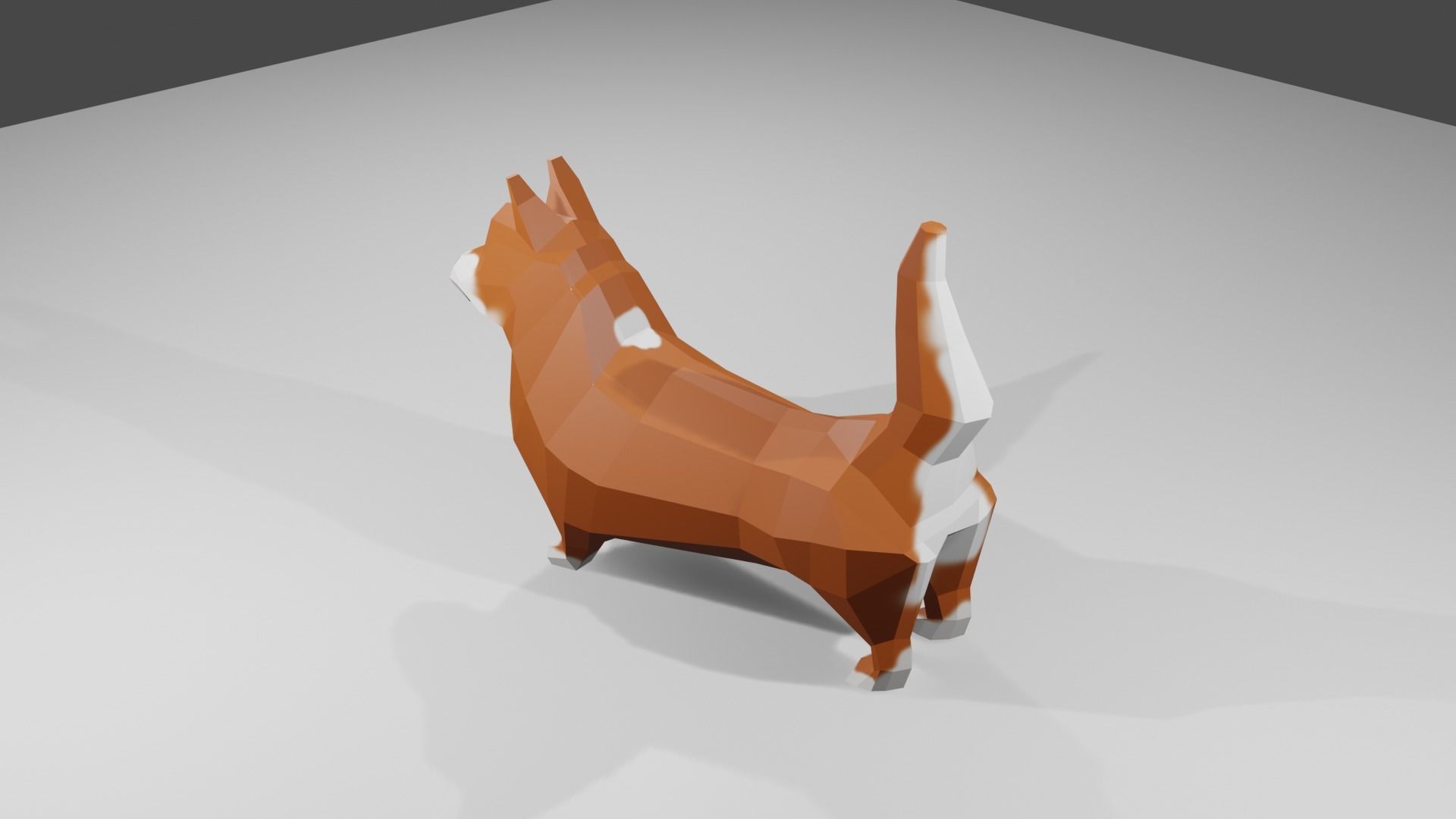 Korgy polygonal dog Low-poly 3D model_5