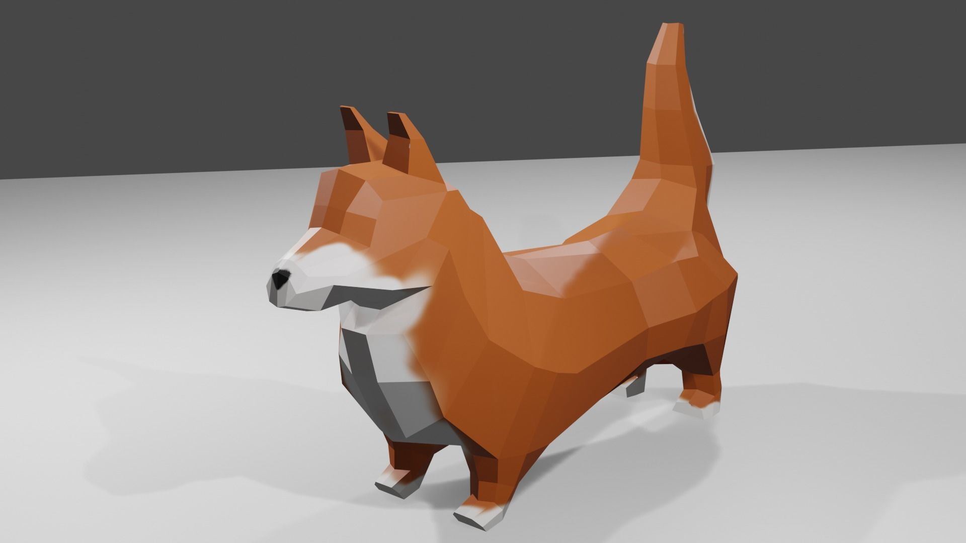 Korgy polygonal dog Low-poly 3D model_8