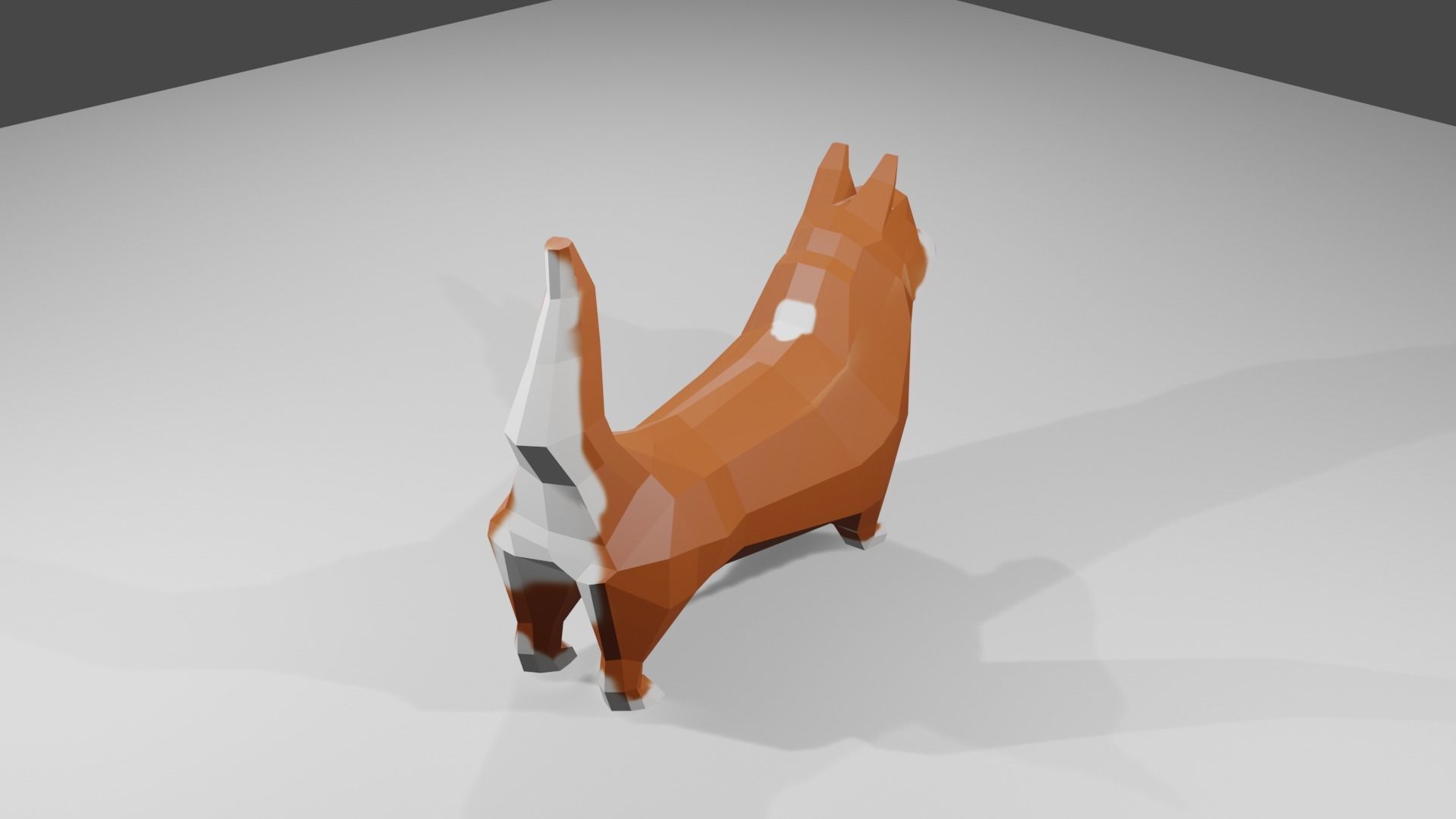 Korgy polygonal dog Low-poly 3D model_3
