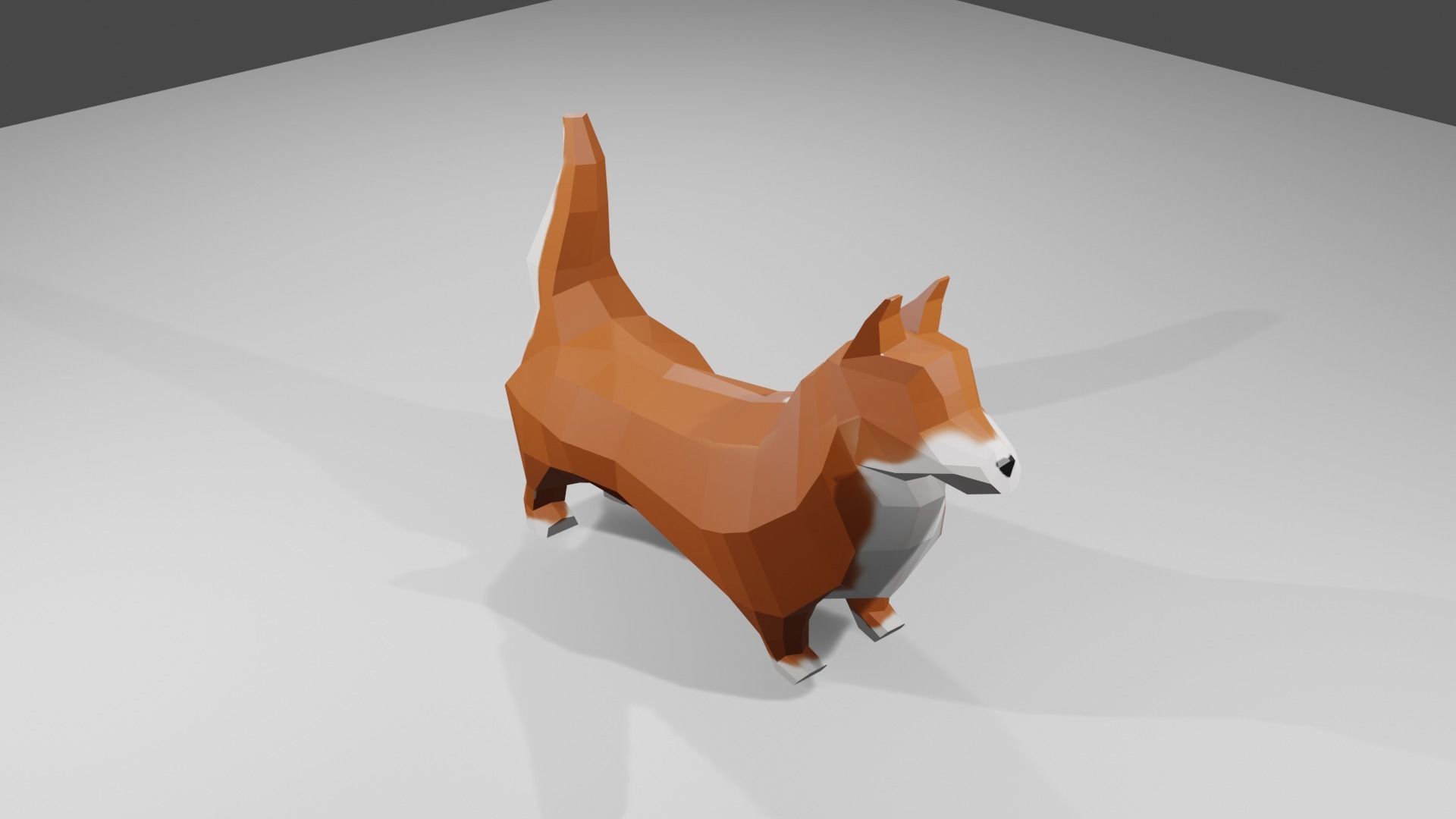 Korgy polygonal dog Low-poly 3D model_1