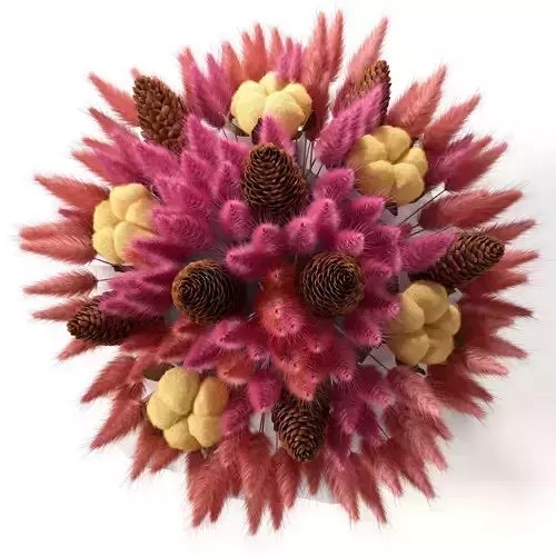  Bouquet of colored lagurus