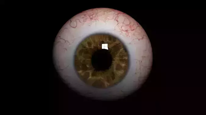 Realistic Human Eye 