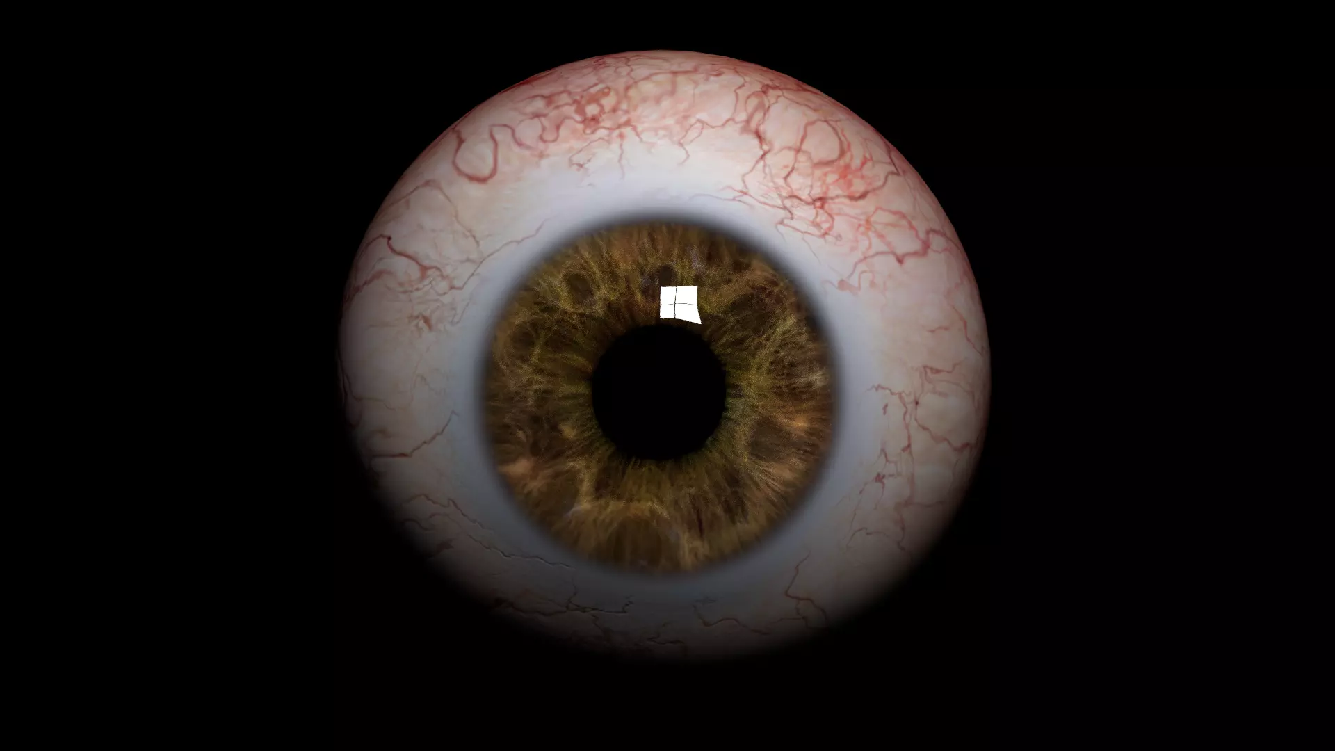 Realistic Human Eye Low-poly 3D model