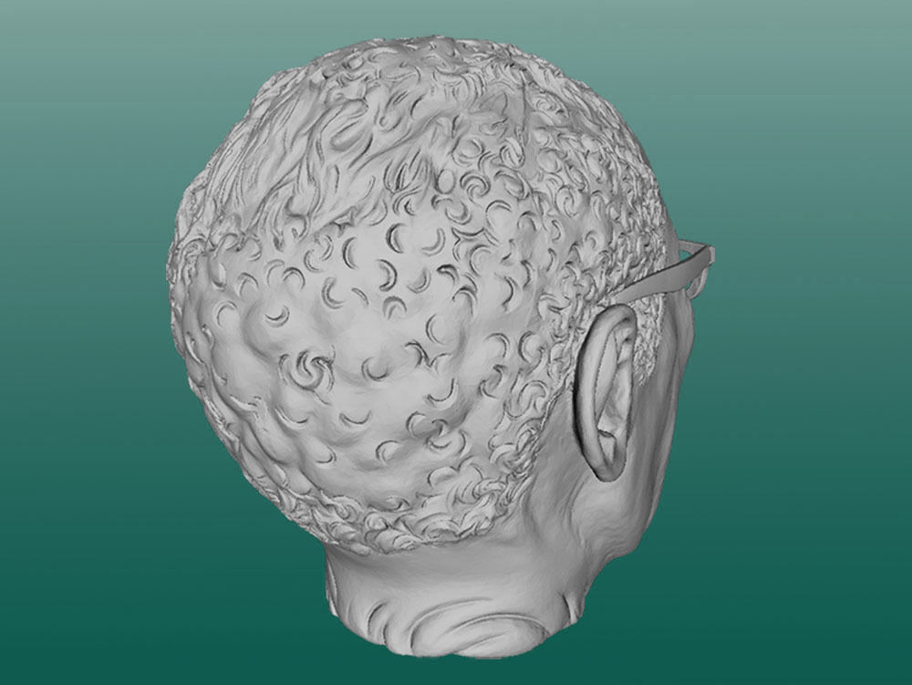 Robert Mugabe laughing head Free 3D print model_2