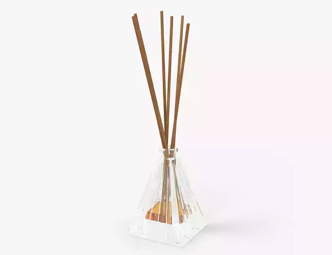 Air refresher bottle with sticks 07