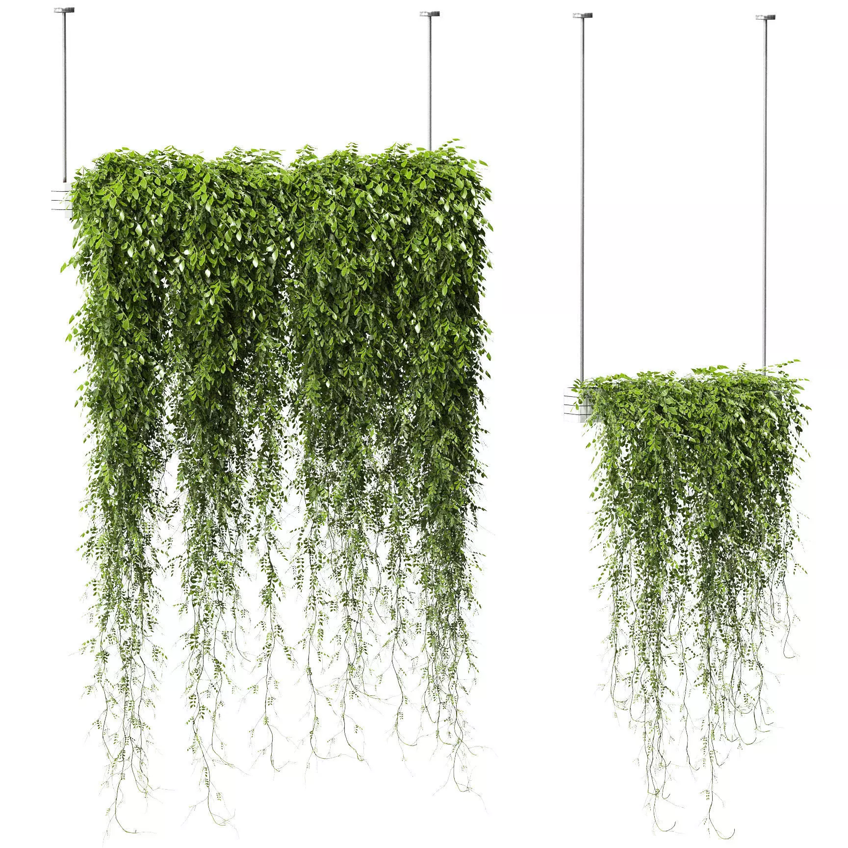Plants in Hanging Planters v2 - 2 models 3D model_0