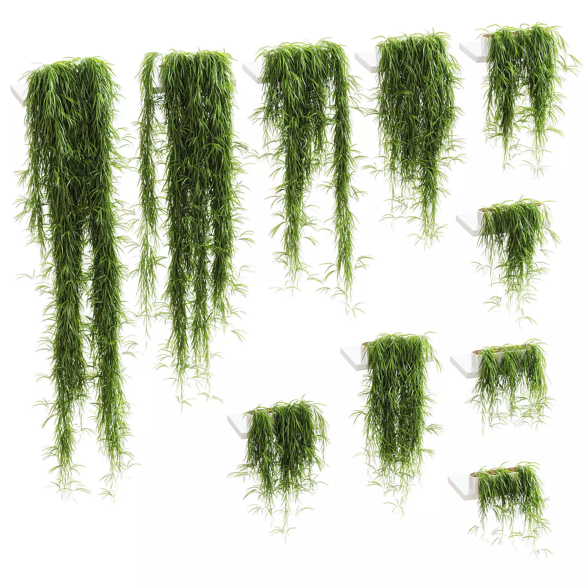 Hanging plants for shelves - 10 models - set 2 3D model_0