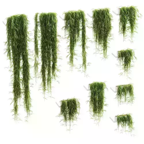 Hanging plants for shelves - 10 models - set 2 3D model