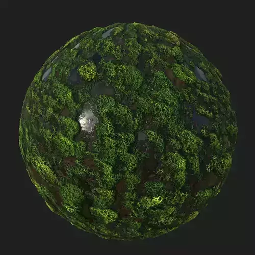 Mossy-Muddy Wetland Texture Set