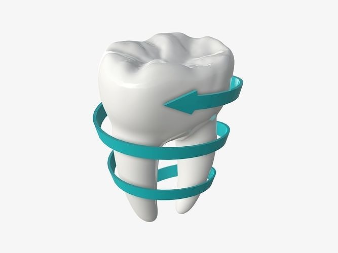 Tooth molars with arrow 03 3D model