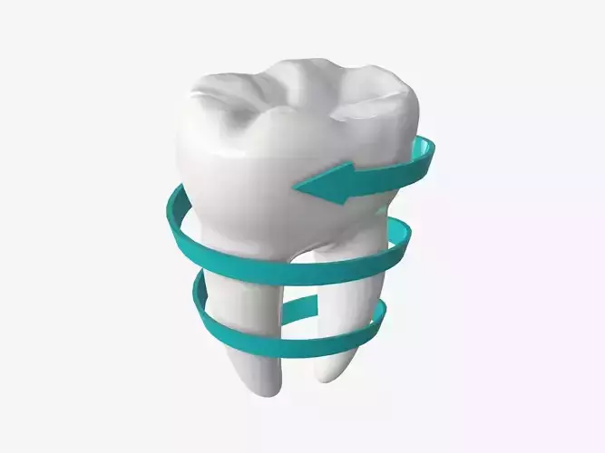 Tooth molars with arrow 03 3D model