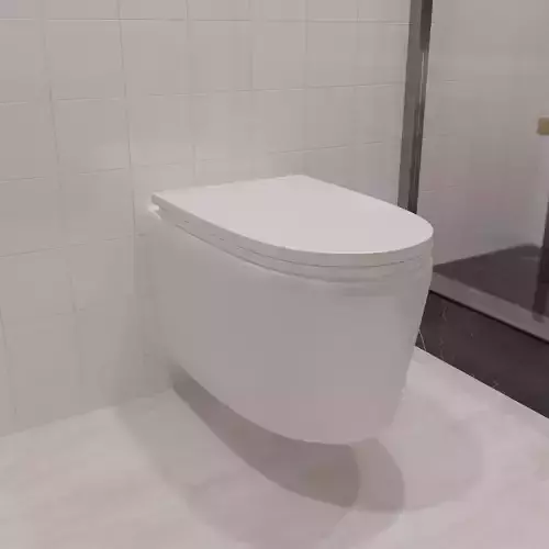 Toilet Model
