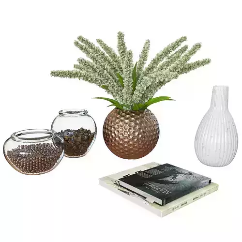 Decorative set three vases with plants and book