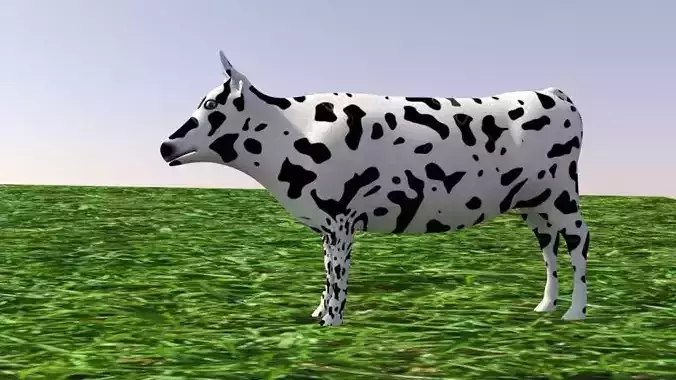 cow mammal