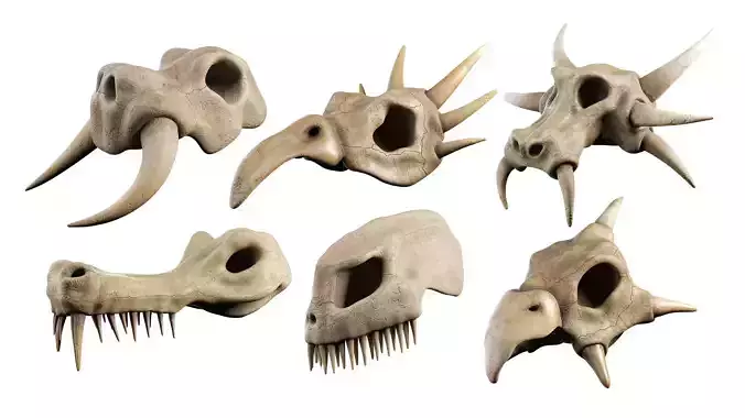 Skull Set mammoth Low-poly 3D model